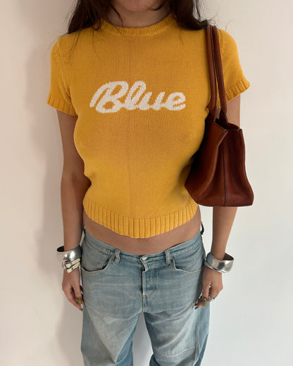 Burberry Blue Label knit